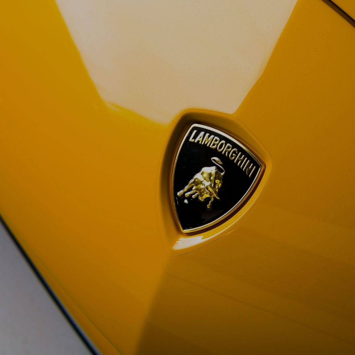Lamborghini Badge Photo v5